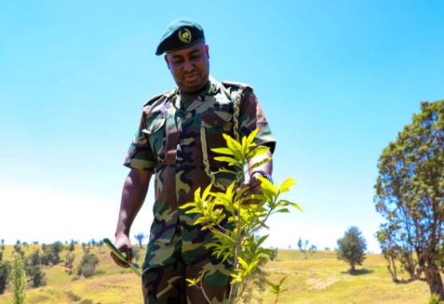 Outgoing KFS Boss Julius Kamau Celebrates 12% Tree Cover In 4 Years