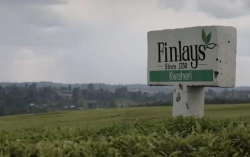 James Finlay Kenya Scandal: Probe Team Reveals No Sexual Harassment Victim Has Recorded Statement