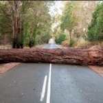 Apple Launches Roadside Assistance Via Satellite
