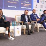Sink Investments In Energy To Attract Green Hydrogen Funding -Experts