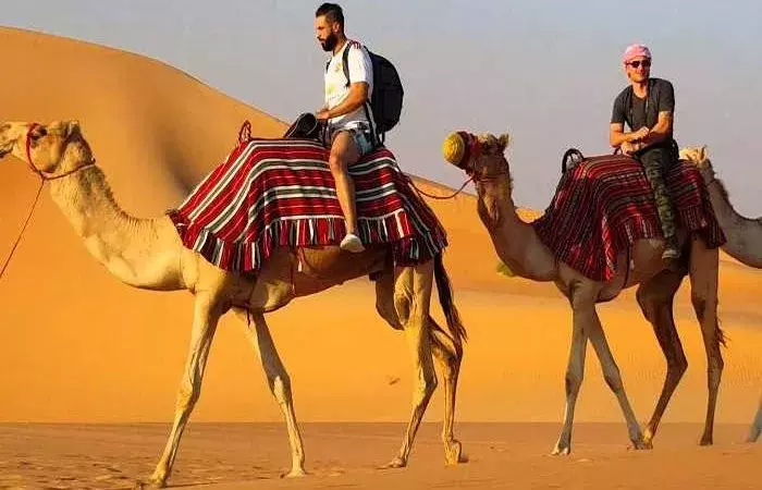 Exploring the UAE: Desert Safari and City Tours from Sharjah