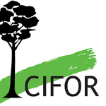 Driver Needed At The Center for International Forestry Research (CIFOR)