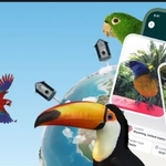 Bird Buddy, The AI-Powered Bird Feeder Startup, Now Lets Anyone Use Its App To Birdwatch