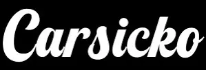 Carsicko Hoodie: The Streetwear Layer That Defines a Modern Casual Look