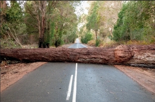 Apple Launches Roadside Assistance Via Satellite