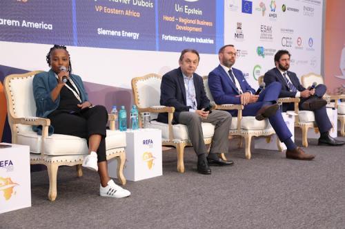 Sink Investments In Energy To Attract Green Hydrogen Funding -Experts