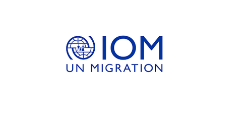 IOM Hiring In 4 Positions