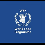 Strategic Outcome 2 Intern Open At World Food Programme