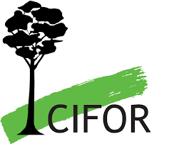 Driver Needed At The Center for International Forestry Research (CIFOR)