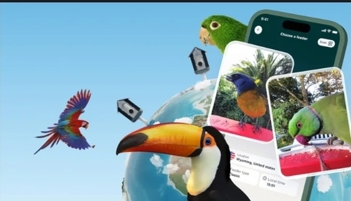 Bird Buddy, The AI-Powered Bird Feeder Startup, Now Lets Anyone Use Its App To Birdwatch