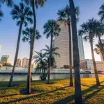 Tampa Millennial Migration: Jobs, Costs, and What You Need to Know