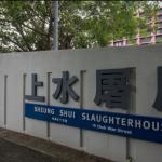 Struggling Pig Kills Butcher At Slaughterhouse