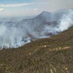 Aberdare Forest Wildfires Persist, Destroys Over 40,000 Acres