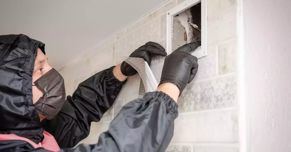How Often Should You Schedule Air Duct Cleaning in Your Home?
