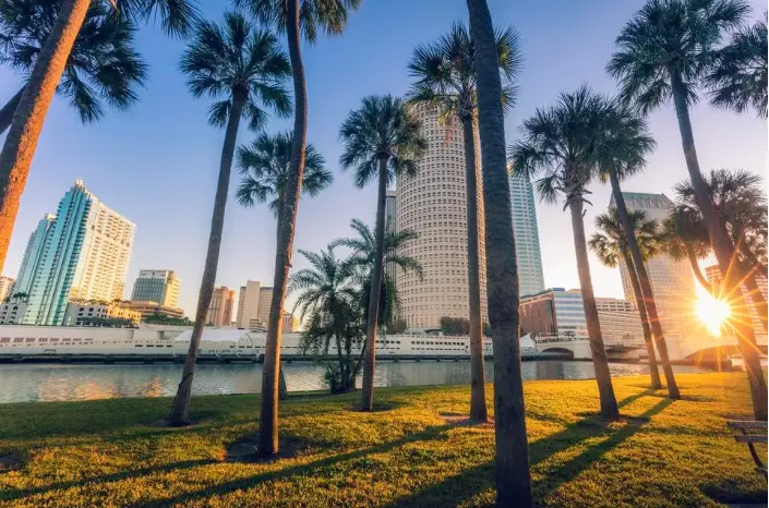 Tampa Millennial Migration: Jobs, Costs, and What You Need to Know