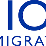 11 Vacancies Open At International Organization for Migration (IOM)