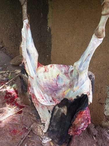 Two Dead, 7 In Hospital After Eating Infected Meat In Nandi