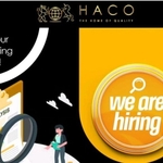 HACO Hiring Data Analyst