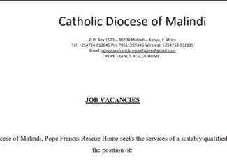Catholic Diocese Of Malindi Hiring : Counsellor, Nurse/Matron, Teacher/Matron And Gardener