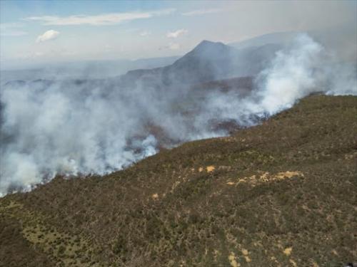 Aberdare Forest Wildfires Persist, Destroys Over 40,000 Acres