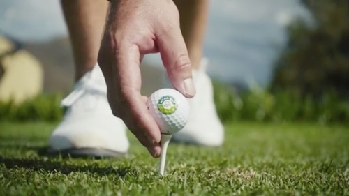 Ryder Cup Rookies Set For Nedbank Golf Challenge