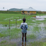 Hopelessness As Backflow FLake Sare Wreaks avHoc In Yimbo