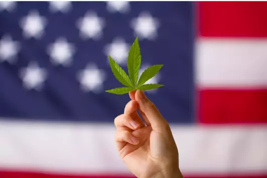 2026 Marijuana Bills Signal Big Shifts In Drug Testing Compliance