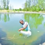 Aquaculture Sector Feeling The Effects Of Ongoing Drought