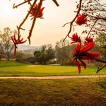Sunshine Tour Celebrates Gary Player’s Legacy