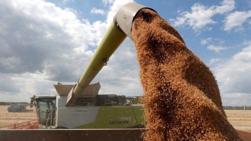 No Respite In Cereal Prices As Food Inflation Bites