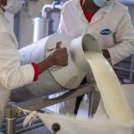 How Drought Affects Milk Quality