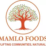 Mamlo Foods Sales Vacancies 2026