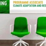 Programme Associate Wanted