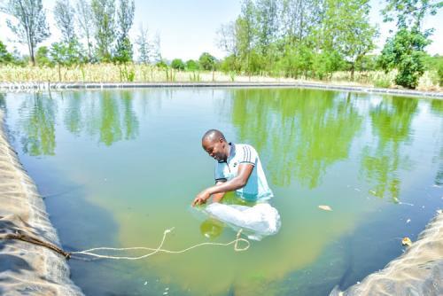 Aquaculture Sector Feeling The Effects Of Ongoing Drought