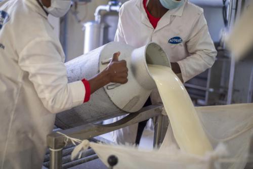 How Drought Affects Milk Quality