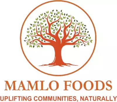 Mamlo Foods Sales Vacancies 2026