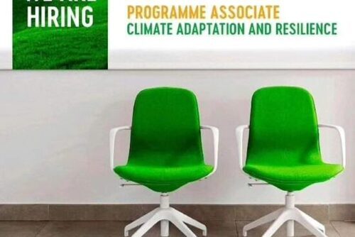 Programme Associate Wanted