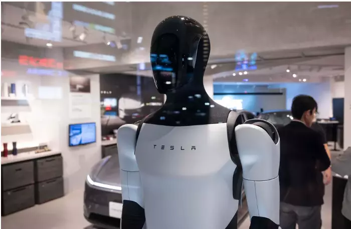 Humanoid Robots: Growth, Uses and Economic Challenges