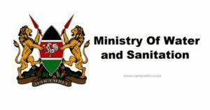 Call For The Application Of Chairperson And Four (4) Members Of The Ministerial Audit Committee At The Ministry Of Water, Sanita
