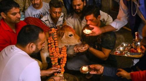 India Tried To Rebrand Valentine’s Day As ‘Cow Hug Day.’ Here’s How It Backfired