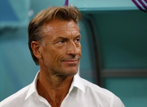 Renard The Exception To The Rule For Sack-Happy Saudis