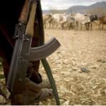 Five People Killed In Bandit Attack In Samburu