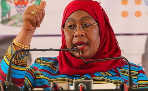 Suluhu: Unlike Our Neighbours, We Have Enough Dollars To Last Us 4 Months