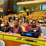 CS Jumwa To Address The UN Security Council In New York