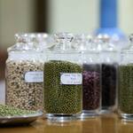 Myanmar Exports Over 220,000 Tons Of Green Grams In April-August
