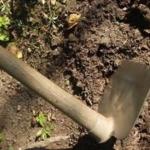 Kisii Man Hacks Father To Death With Hoe