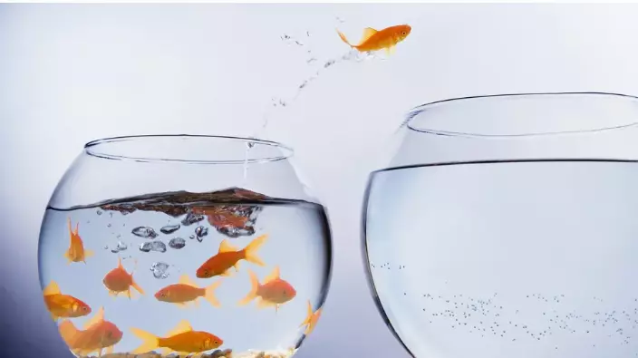 Seven Ways Managers Use Change Management Skills To Get Promoted