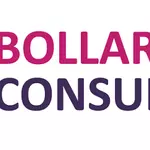 Bollard Consulting Limited Vacancies 2026