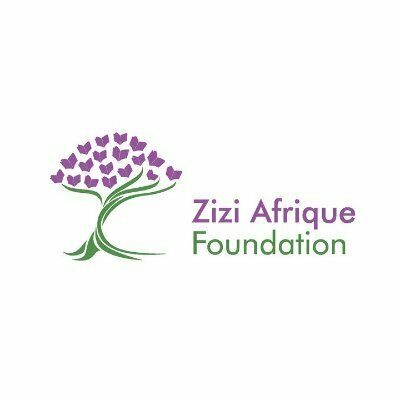 Zizi Afrique  Hiring Program Officer – Knowledge Management And Program Officer – Assessment And Advocacy