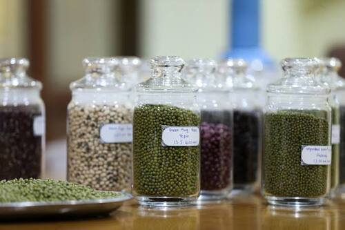 Myanmar Exports Over 220,000 Tons Of Green Grams In April-August